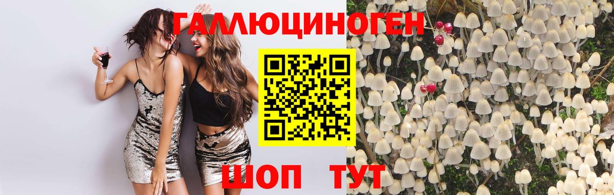 Галлюциногенные грибы Cubensis Черкесск