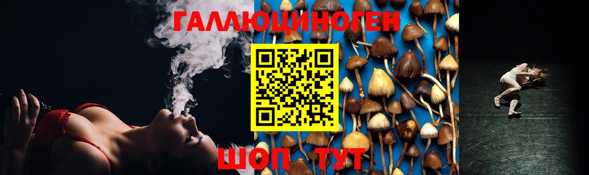Черкесск  Псилоцибиновые грибы Cubensis  Вход с VPN 